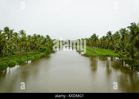 Télévision miroir eaux de Sal rivière bordée de cocotiers le long des rives du fleuve. La Sal backwaters sont vraiment une partie d'une Goa invisible. Banque D'Images