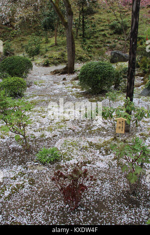 Les jardins de la Tenryu-ji à Kyoto (Japon). Banque D'Images