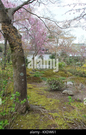 Les jardins de la Tenryu-ji à Kyoto (Japon). Banque D'Images