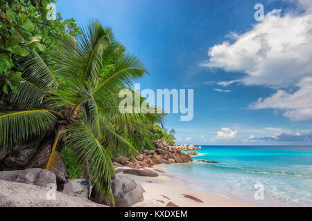 Paradise beach sur les Seychelles. Banque D'Images