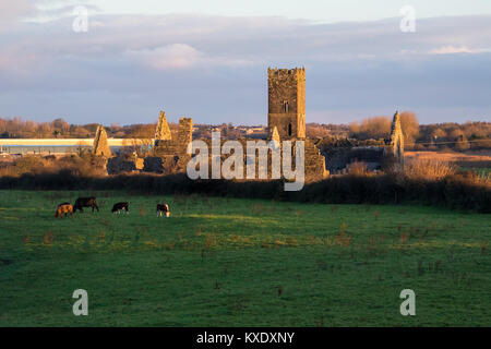 Clare Abbaye, monastère des augustins en ruine près de Ennis, dans le comté de Clare, Irlande Banque D'Images