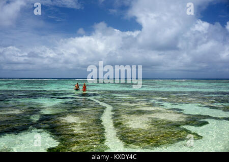 La plage la plus photographiée au monde.La Digue. Anse La source d'argent à la région. Banque D'Images