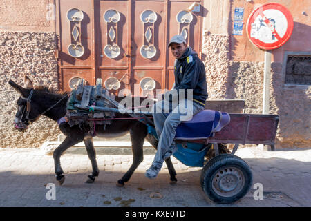 Un homme sur une charrette à ânes, Marrakech Banque D'Images