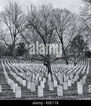 Le Cimetière National d'Arlington, Banque D'Images