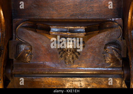 Royaume-uni, Angleterre, Cheshire, Nantwich, St Mary's Church, chorale, 14e siècle sculptée médiévale homme vert misericord Banque D'Images