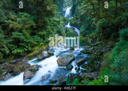 Mackay spectaculaires chutes dans la forêt sauvage du Parc National de Fiordland, Nouvelle-Zélande Milford Track Great Walk Banque D'Images