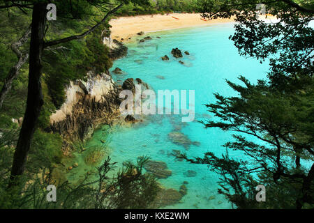 Tropical Beach Paradise avec du sable doré et l'eau d'un bleu pur, parc national Abel Tasman Banque D'Images