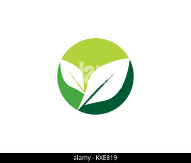 Est un symbole associé à la nature, en particulier les arbres, feuilles, ou des fleurs Banque D'Images