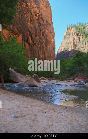 Une scène le long du chemin de randonnée dans la région de Zion Canyon Banque D'Images