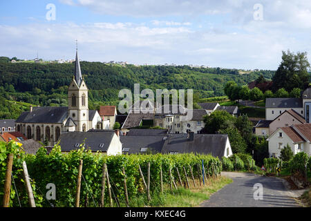 Route de Ahn village et vignoble dans la vallée de Mosell au Luxembourg Banque D'Images