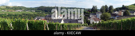 Ahn village et vignoble dans la vallée de Mosell au Luxembourg Banque D'Images