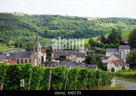 Ahn village et vignoble dans la vallée de Mosell au Luxembourg Banque D'Images