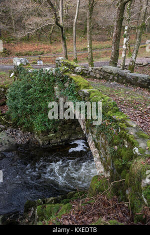 L'Afon Artro à Pont-Cwm-Yr Afon près de Llanbedr dans le Nord du Pays de Galles. Un petit pont de pierre à côté de la route menant à mcg Bychan. Banque D'Images