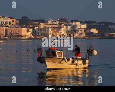 Pêcheur tôt le matin sur son bateau dans le port, Ischia Ponte, Ischia, Calabre, Italie Banque D'Images