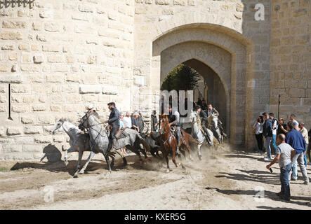 Les Gardians ou bull éleveurs à chevaux camargue route des taureaux sauvages à travers la porte de la ville, Aigues-Mortes, Camargue, France Banque D'Images