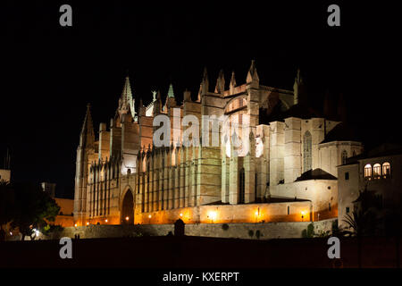 Vue nocturne de Palma de Majorque, La Cathédrale La Seu, du Parc de la Mar Palma, Majorque, Espagne Banque D'Images