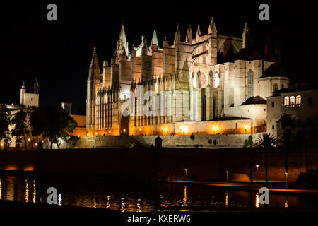 Vue nocturne de Palma de Majorque, La Cathédrale La Seu, du Parc de la Mar Palma, Majorque, Espagne Banque D'Images