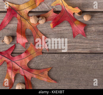 Feuilles de chêne et de glands colorés sur une surface en bois Banque D'Images