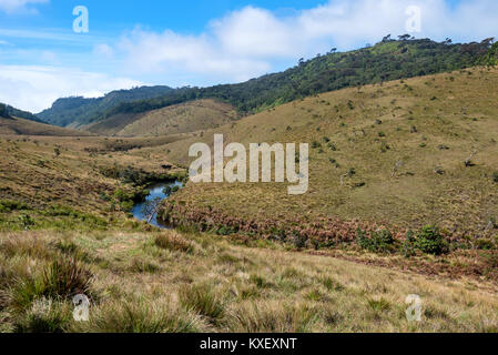 Route menant à Horton Plains, Sri Lanka Banque D'Images