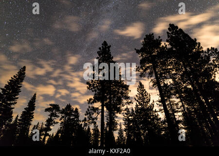 Nuages dériver dans une vue de l'étoile, se découpant de grands pins dans Trumbull Lake Campground, en Californie. Banque D'Images