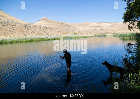 Un homme marche dans l'Owyhee River pour aller à la pêche pendant que son chien regarde avidement. Banque D'Images