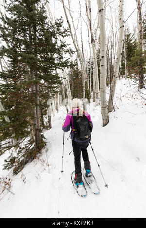 Un randonneur en raquettes le long des sentiers du Rob lors d'un après-midi d'hiver pacifique. Banque D'Images
