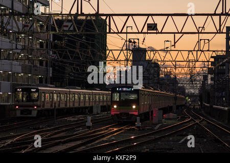 Ligne Keio, au crépuscule, en vue de Sasazuka vers Daitabashi,Station Station, Shibuya-Ku, Tokyo, Japon Banque D'Images