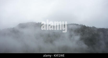 Un épais brouillard et nuages couvrant la crête de montagnes boisées en Norvège. Banque D'Images