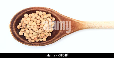 Les lentilles dans une cuillère en bois sur fond blanc Banque D'Images