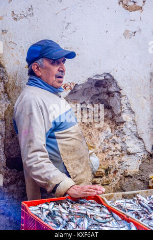 Fes, MAROC - 10 DÉCEMBRE : vente de poisson frais à Fez medina, vieille ville. Décembre 2016 Banque D'Images