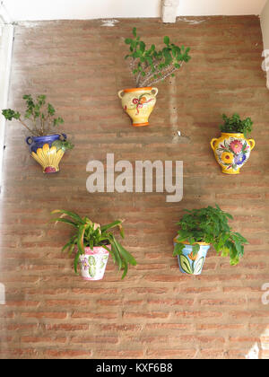 Pots de fleurs andalouses pendaison sur mur de brique Banque D'Images