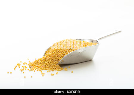 Millet dans une boule métallique sur fond blanc Banque D'Images