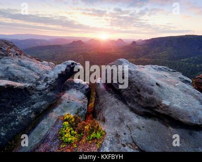 Matin vue sur falaise de grès dans la vallée brumeuse. Des pics de grès est passé de nuage brumeux, des couleurs chaudes. Banque D'Images