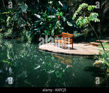 Banc à côté d'un étang, capturé dans une forêt tropicale dans la région de Minas Gerais, Brésil Banque D'Images