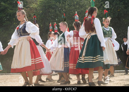 La danse traditionnelle hongroise bouteille, troupe de danse folklorique Banque D'Images