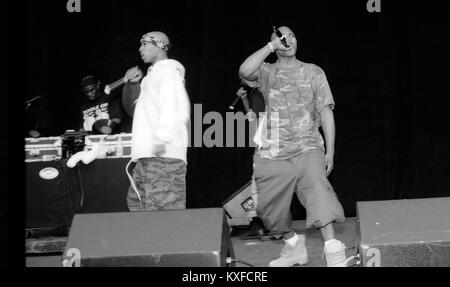 MOUNTAIN VIEW, CALIFORNIE - 31 juillet : Onyx à KMEL Summer Jam 1993 au Shoreline Amphitheatre à Mountain View, Californie le 31 juillet 1993. Crédit : Pat Johnson/MediaPunch Banque D'Images