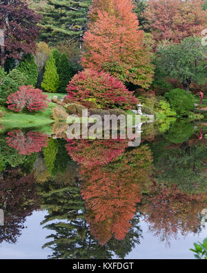 Couleurs de l'automne reflète dans l'étang à l'Azalea Garden, Asticou Northeast Harbor, Maine. Banque D'Images