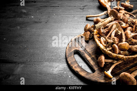 Les champignons frais miel panier dans agarics. Sur le tableau noir. Banque D'Images