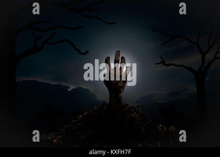 Les mains des zombies sortent de la tombe la nuit, plein d'esprit signe entouré d'arbres morts. Halloween concept. Banque D'Images