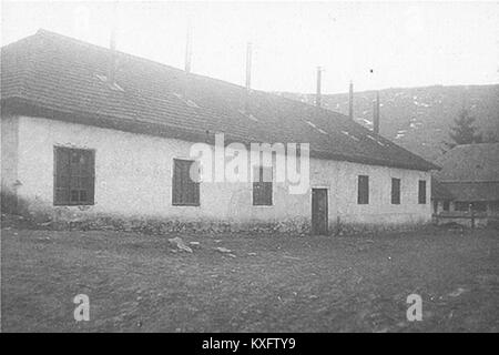 Photographie de 1920 d’une forge de forgeron à Lysychevo, en Ukraine, montrant les pratiques traditionnelles de travail des métaux et l’artisanat rural au début du XXe siècle. Banque D'Images