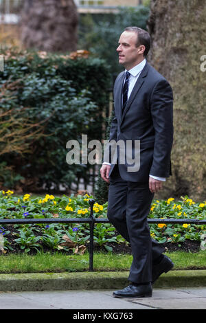 Londres, Royaume-Uni. Jan 9, 2018. Dominic Raab MP arrive au 10 Downing Street pendant le remaniement des ministres subalternes par premier ministre Theresa May. Il a été nommé ministre d'État au logement Crédit : Mark Kerrison/Alamy Live News Banque D'Images