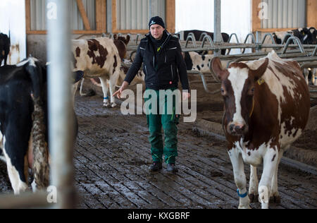 Neunkirchen-Seelscheid, Allemagne. 05Th Jan, 2018. Agriculteur Marcel Andree apportant une vache d'une machine à traire en Neunkirchen-Seelscheid, Allemagne, 08 janvier 2018. Rhénanie du Nord-Westphalie État de l'Association des Producteurs laitiers a fait une déclaration sur la situation financière des agriculteurs, le 10 janvier 2018. Credit : Rainer Jensen/dpa/Alamy Live News Banque D'Images