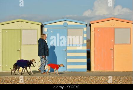 Ingelmunster, East Sussex. 10 janvier 2018. Les gens profiter du soleil à Seaford, ROYAUME UNI après des jours d'humide et sombre, météo Crédit : Peter Cripps/Alamy Live News Banque D'Images