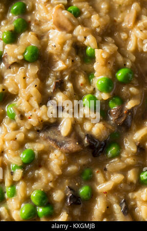 Risotto aux champignons salés faits maison avec des petits pois et des oignons Banque D'Images