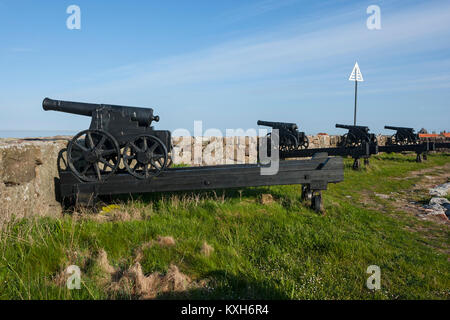 Les rois en canons, Batteri Christiansø, Ertholmene, Bornholm, Danemark Banque D'Images