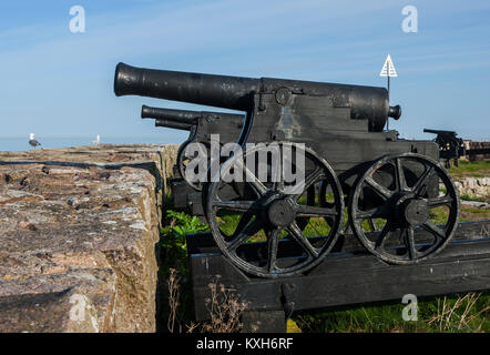 Les rois en canons, Batteri Christiansø, Ertholmene, Bornholm, Danemark Banque D'Images