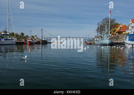 Les Eiders et les Goélands argentés dans le Port avec passerelle entre Christiansø et Frederiksø, Ertholmene, Bornholm, Danemark Banque D'Images