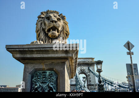 L'un des lions en pierre sculptée par János Marschalkó sur le Pont des Chaînes entre Buda et Pest à Budapest Hongrie Banque D'Images