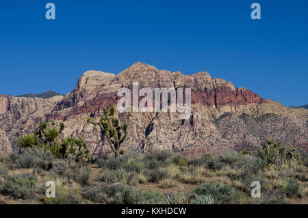 Vue sur la roche rouge des falaises, le Red Rock Canyon National Conservation Area. Las Vegas, Nevada Banque D'Images