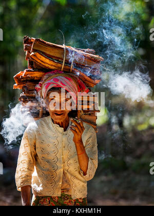 Vieille Femme transportant du bois de sciage dans sa tête, Inle, Myanmar Banque D'Images